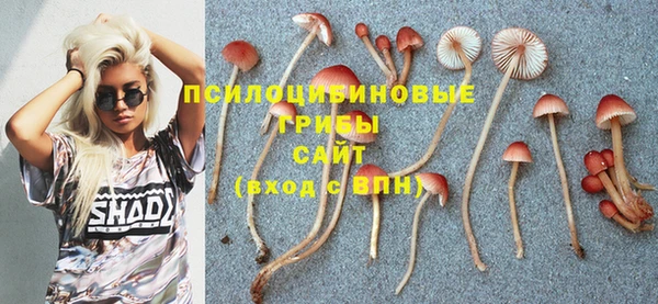 таблы Елизово