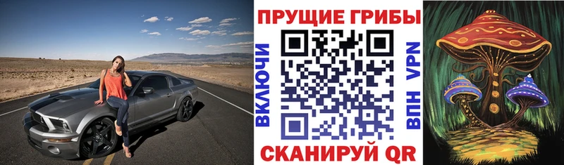 Галлюциногенные грибы ЛСД Камешково