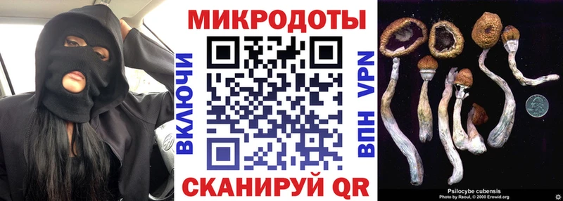 Купить  Камешково  Псилоцибиновые грибы мухоморы 